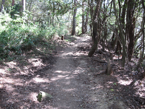 20140922hike (212)
